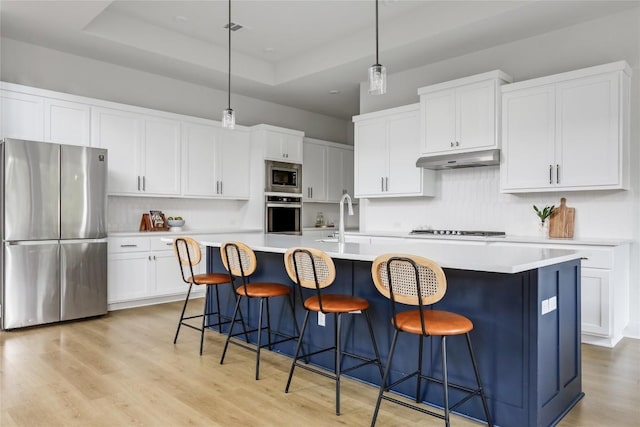 kitchen featuring a sink, a raised ceiling, stainless steel appliances, decorative backsplash, and light wood-type flooring