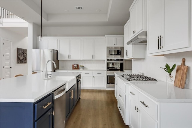 kitchen featuring appliances with stainless steel finishes, a sink, blue cabinetry, under cabinet range hood, and visible vents