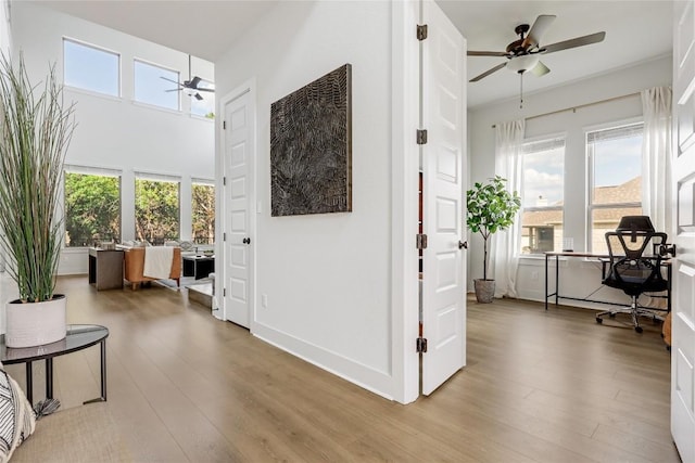 corridor featuring a healthy amount of sunlight, baseboards, and light wood finished floors