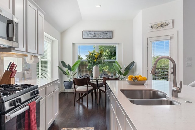173 Venti Cv, Georgetown, TX 78628 - kitchen with stainless steel appliances, dark wood finished floors, plenty of natural light, and a sink
