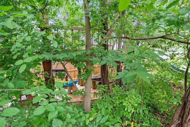 view of nature