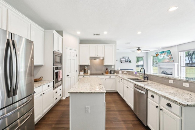 kitchen with ceiling fan, a center island, a sink, a peninsula, and stainless steel appliances