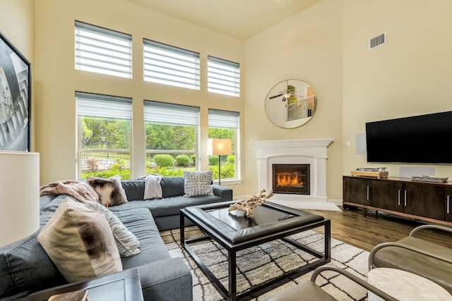 4101 Front Range Ln, Austin, TX 78732 - living area featuring a high ceiling, wood finished floors, and a glass covered fireplace