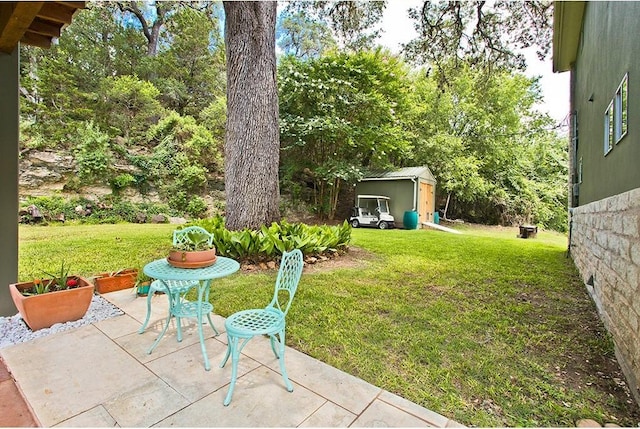 view of yard featuring a patio, an outbuilding, and a shed