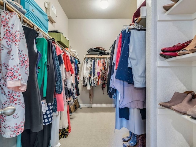 walk in closet featuring carpet
