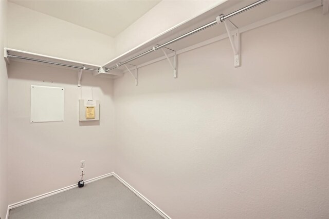interior space featuring carpet floors
