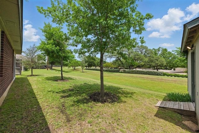 7421 Ponoma Trl, Austin, TX 78749 - view of yard