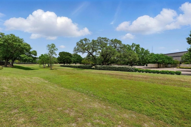 7421 Ponoma Trl, Austin, TX 78749 - view of yard