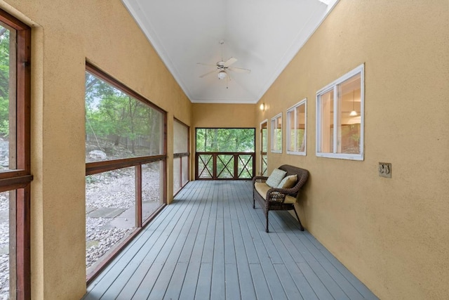 3800 Laurel Ledge Ln, Austin, TX 78731 - unfurnished sunroom with ceiling fan and healthy amount of natural light