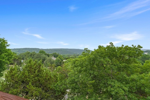 3800 Laurel Ledge Ln, Austin, TX 78731 - mountain view with a heavily wooded area