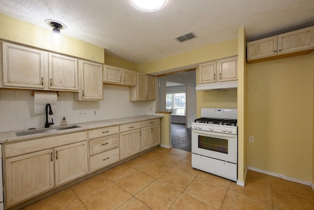 7103 Howerington Cir, Austin, TX 78724 - photo 7
