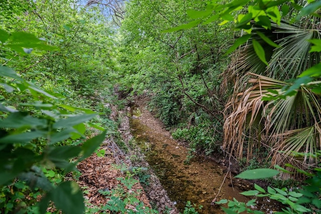 view of nature