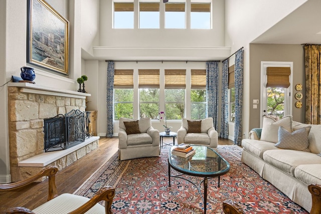 103 Maddy Way, Austin, TX 78738 - living room with a high ceiling, hardwood / wood-style flooring, and a fireplace