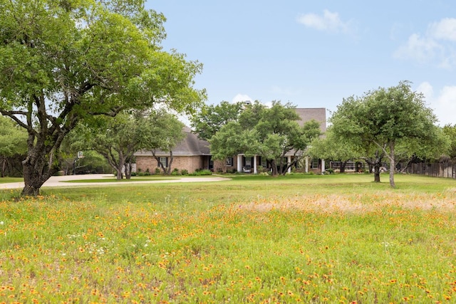 1350 Patterson Rd, Austin, TX 78733 - view of green lawn