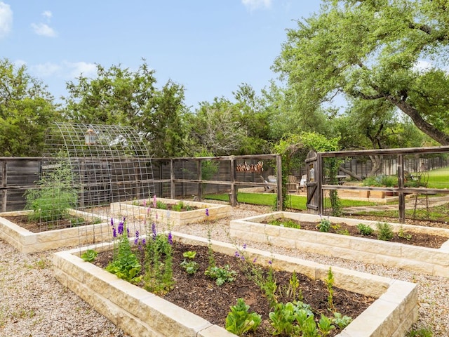1350 Patterson Rd, Austin, TX 78733 - view of yard featuring a garden