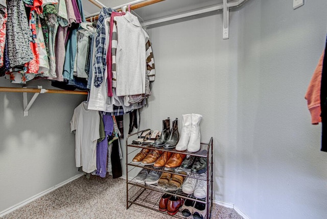 spacious closet featuring carpet floors