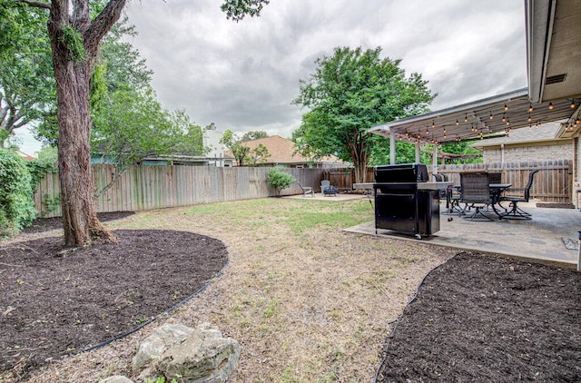 view of yard with a patio and a fenced backyard