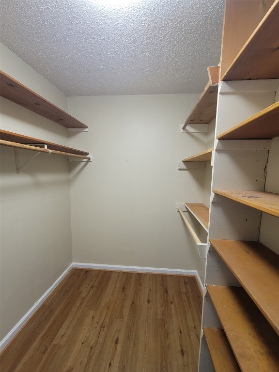 spacious closet featuring wood finished floors