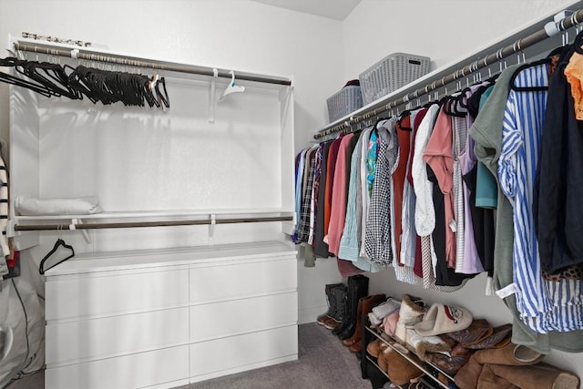 walk in closet featuring carpet floors