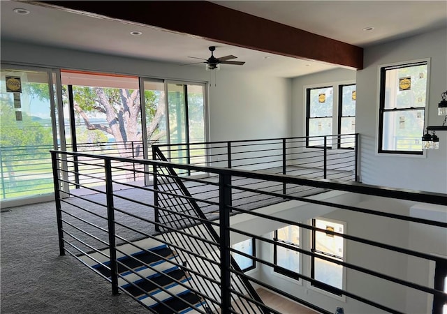 stairway with recessed lighting, ceiling fan, a wealth of natural light, and carpet