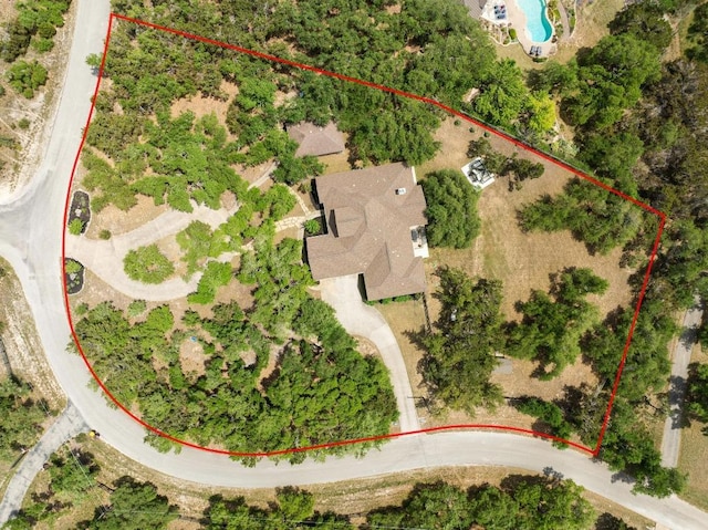 bird's eye view