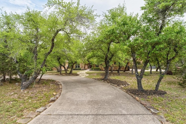 view of property's community