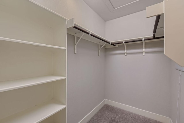 walk in closet featuring carpet flooring