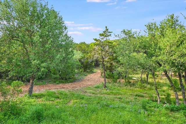 277 S Commons Ford Rd, Austin, TX 78733 - view of undeveloped land