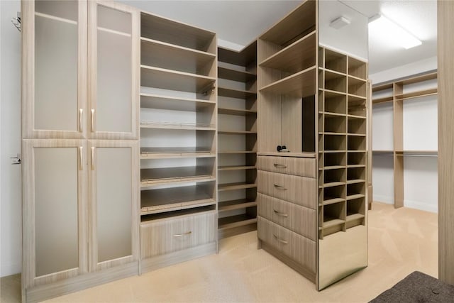 2033 Portobello Rd, Leander, TX 78641 - spacious closet featuring light colored carpet