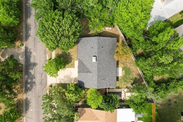 bird's eye view