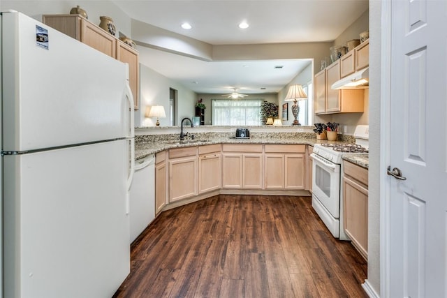 kitchen with light brown cabinetry, a sink, under cabinet range hood, white appliances, and dark wood-type flooring