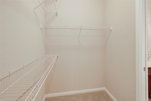spacious closet with carpet flooring