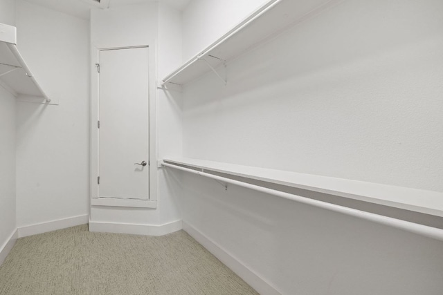spacious closet with light carpet