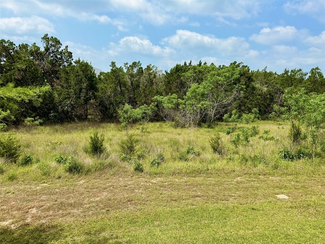 view of nature featuring a forest view
