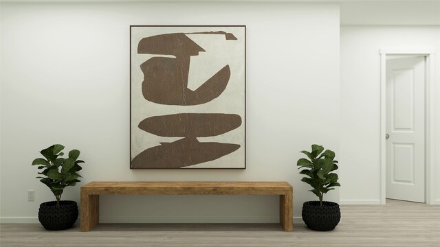 details featuring baseboards and wood finished floors