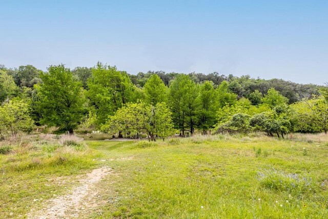107 Edgewater Dr, Wimberley, TX 78676 - photo 13