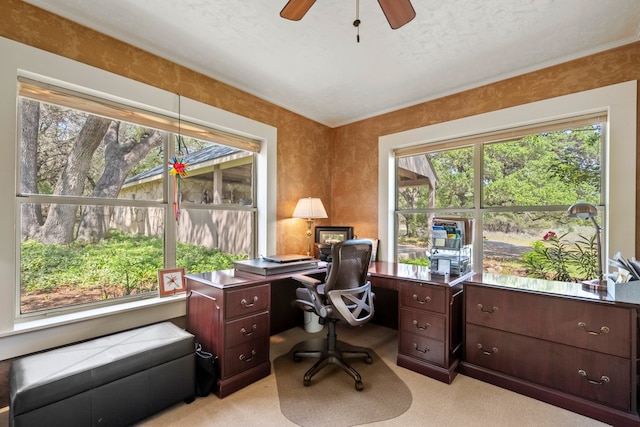 home office with ceiling fan, light colored carpet, and a wealth of natural light