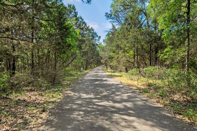 view of road with a view of trees