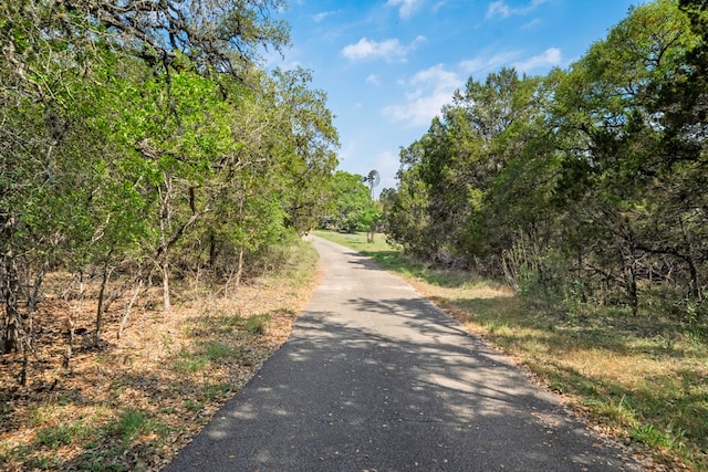 view of road with a wooded view
