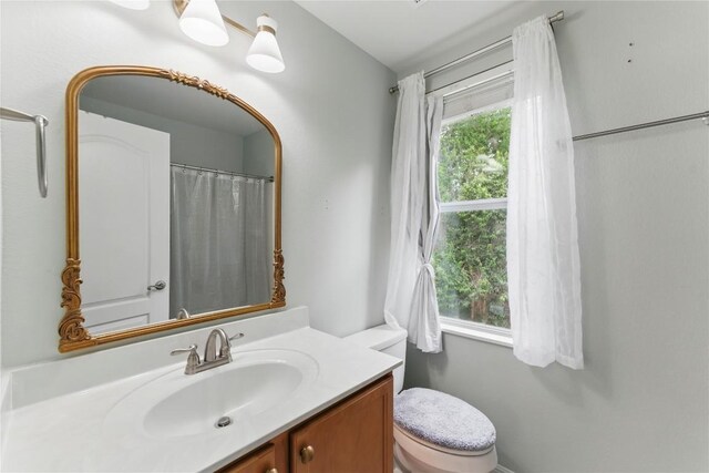 bathroom with toilet and vanity