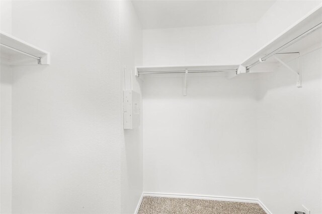 spacious closet featuring carpet