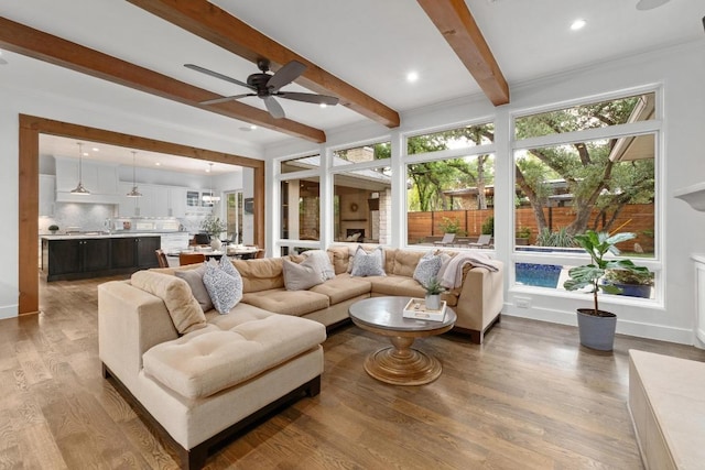 living area featuring plenty of natural light, ceiling fan, beam ceiling, and wood finished floors