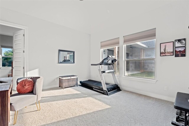 workout area featuring baseboards and carpet flooring