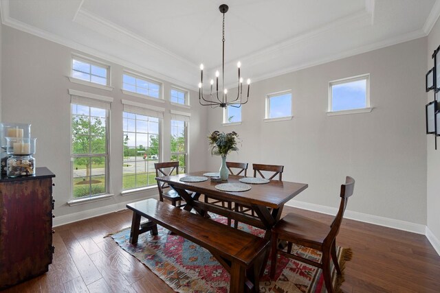dining space with a raised ceiling, a wealth of natural light, and dark wood-style floors