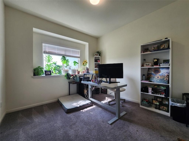 105 Witchhazel Way, San Marcos, TX 78666 - photo 23