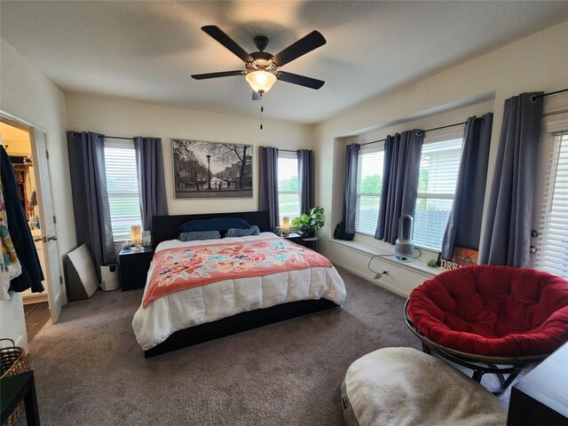 bedroom with carpet floors, multiple windows, a ceiling fan, and a spacious closet