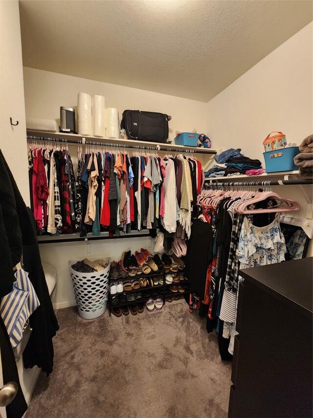 walk in closet featuring carpet floors