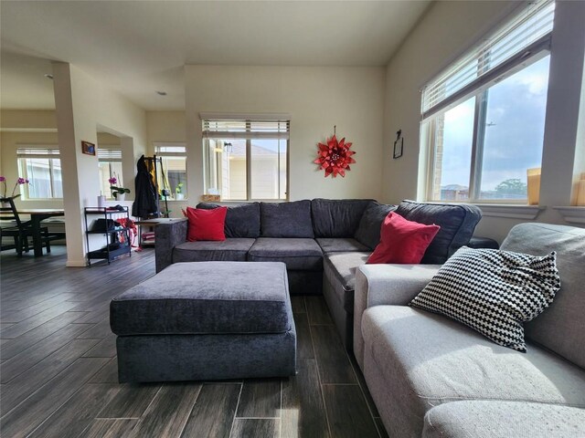 living area with dark wood-type flooring and a wealth of natural light