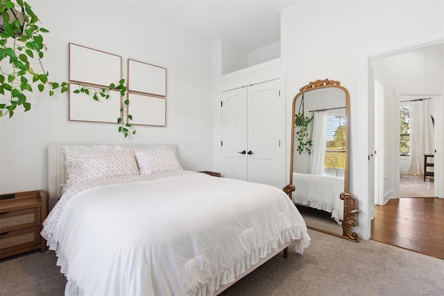 18852 Hidden Ridge Pl, Jonestown, TX 78645 - bedroom featuring carpet floors and a closet