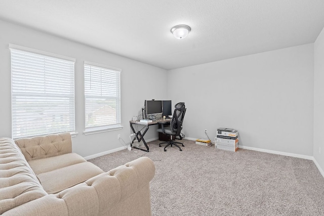571 Sue Peaks Loop, Dripping Springs, TX 78620 - carpeted home office with baseboards